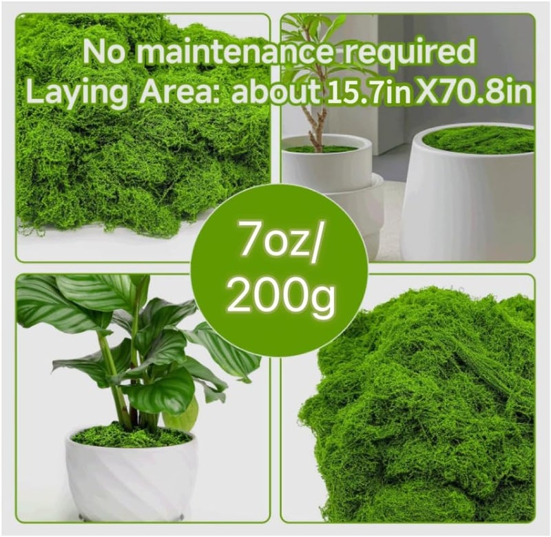 Aspamms Store Fake Green Moss for Potted Plants Indoor, 7oz Artificial Moss for Crafts, Faux Moss Decor for Fairy Garden, DIY Decorative, Model Making, Walls, Glass Containers, Home - Image 3